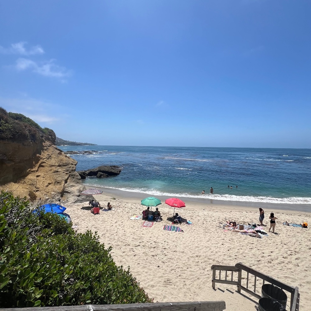 Meet your Posher, Charlie!